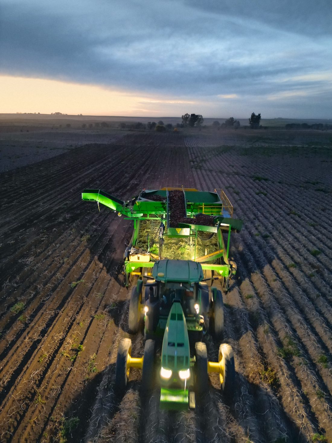 Drone view of a tractor pulling the Dirty Digger through a potato field just after sundown, work lights on